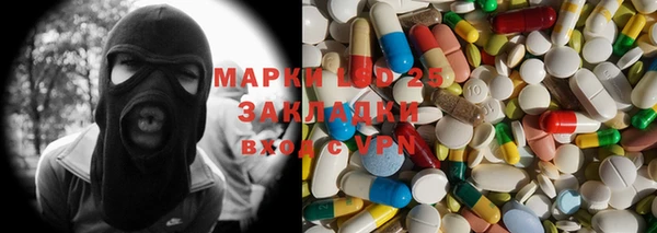ГАЛЛЮЦИНОГЕННЫЕ ГРИБЫ Абаза
