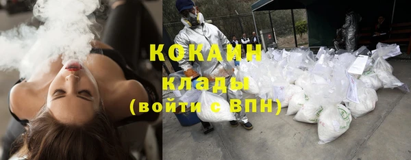ГАЛЛЮЦИНОГЕННЫЕ ГРИБЫ Абаза