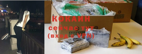 ГАЛЛЮЦИНОГЕННЫЕ ГРИБЫ Абаза