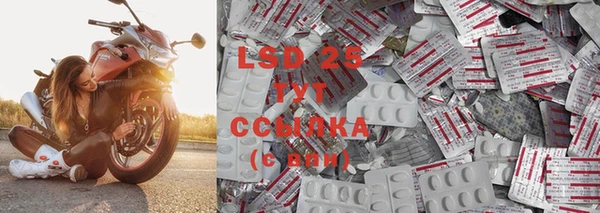 ГАЛЛЮЦИНОГЕННЫЕ ГРИБЫ Абаза